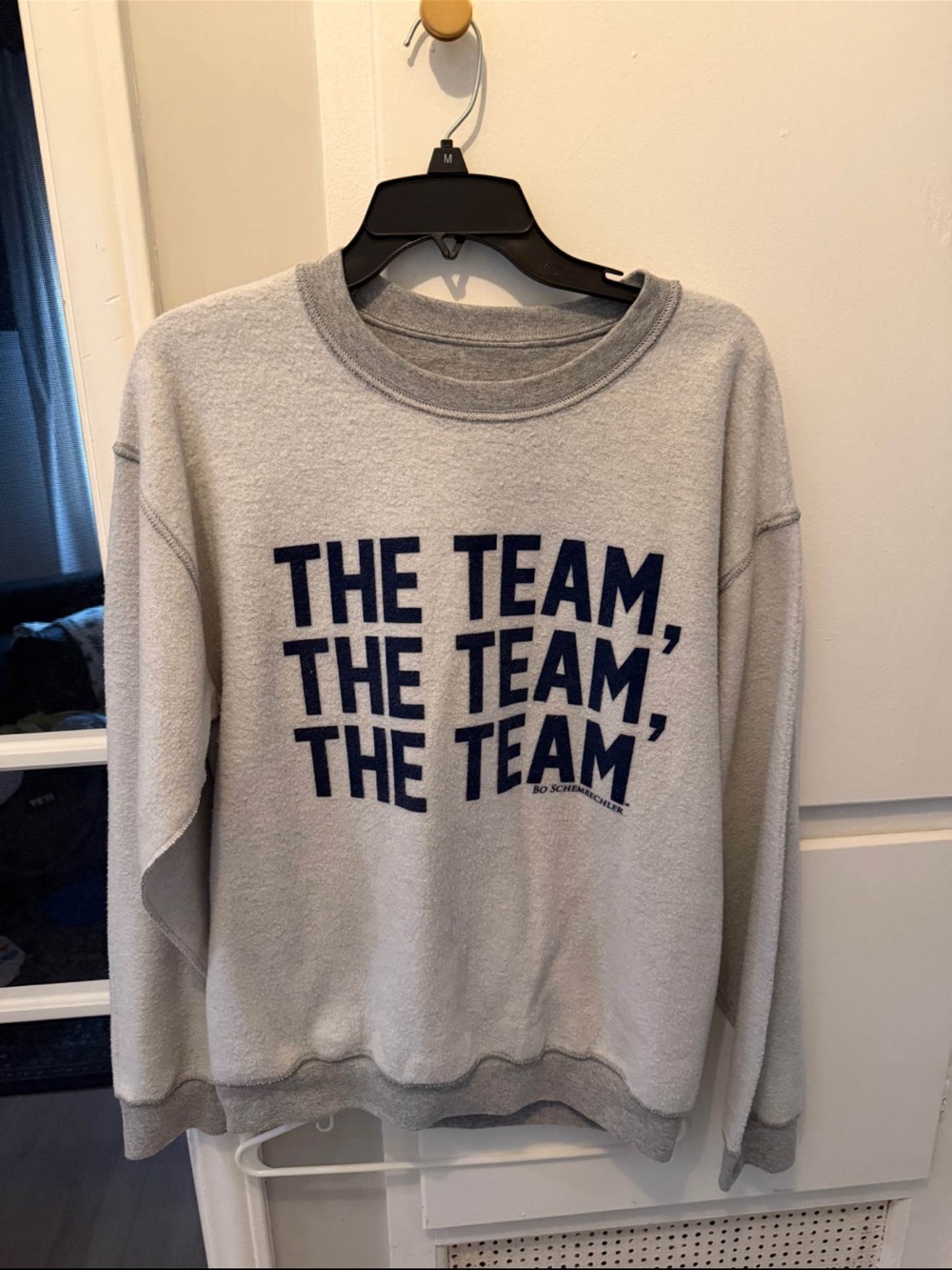 Rare Michigan “The Team” Crewneck – Bo Store Exclusive (Size M)